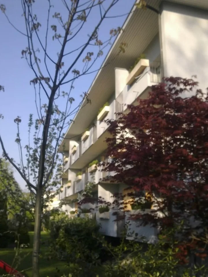 Ab 1.2./1.3. - Schöne 2.5 Zi Wohnung mit Balkon, grosse Einzelgarage – Foto 10 von 21