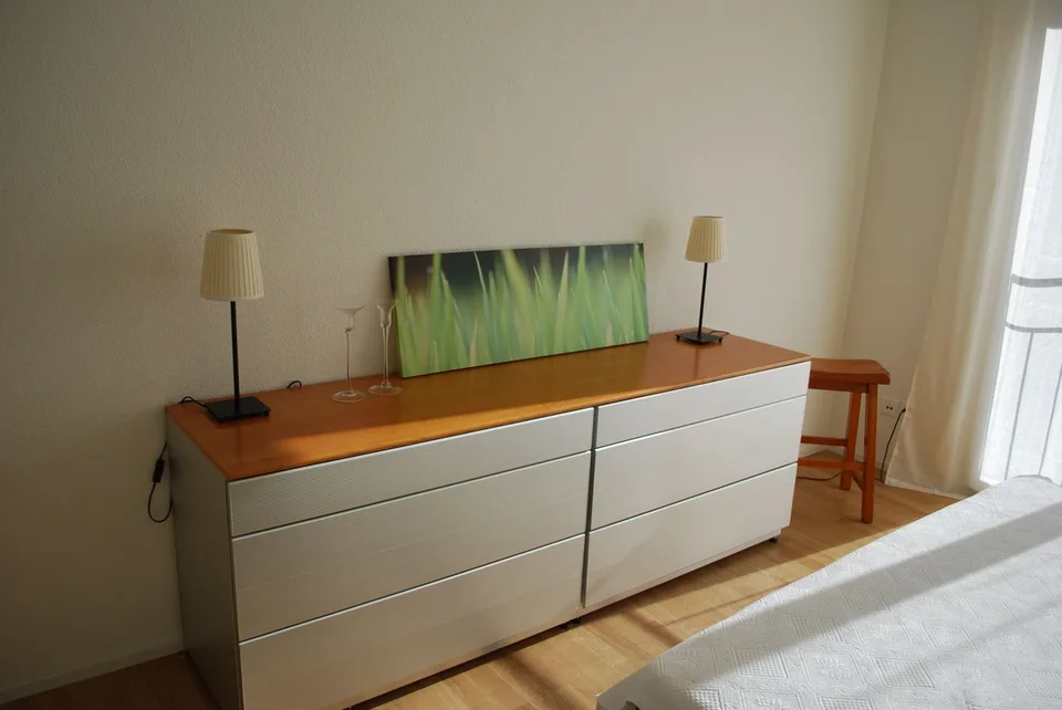 Möblierte 3,5 Zimmer/ 2 bedroom apartment in Adliswil (Zurich) – Foto 6 von 8