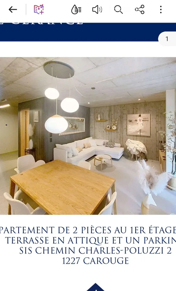 Dachgeschoss in Carouge GE mit Rooftop – Foto 8 von 10