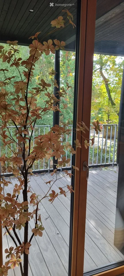 Dachgeschoss in Carouge GE mit Rooftop – Foto 5 von 10