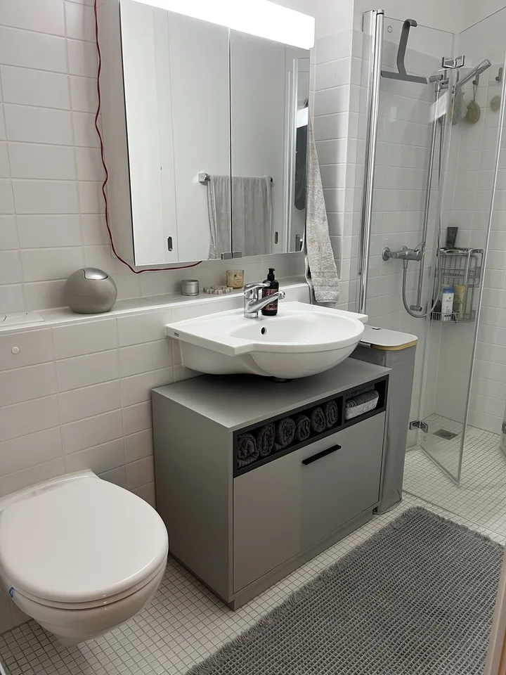 2 ZI-WOHNUNG IN MEILEN (ZH), MÖBLIERT, TEMPORÄR – Foto 6 von 7