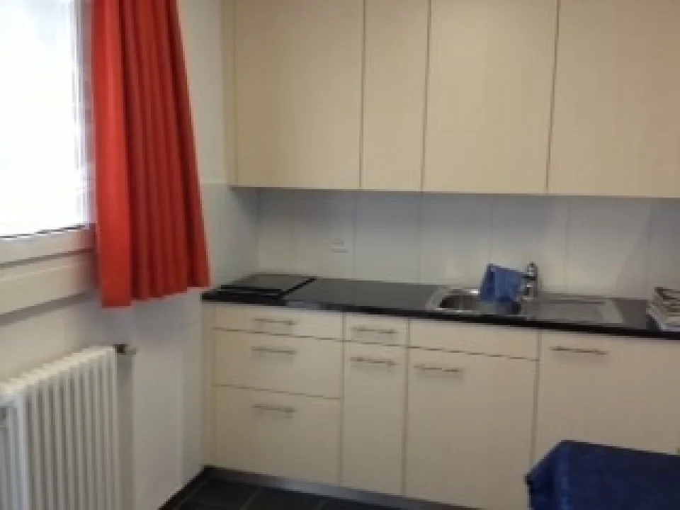 Praktische 1-Zimmerwohnung zu vermieten – Foto 2 von 6