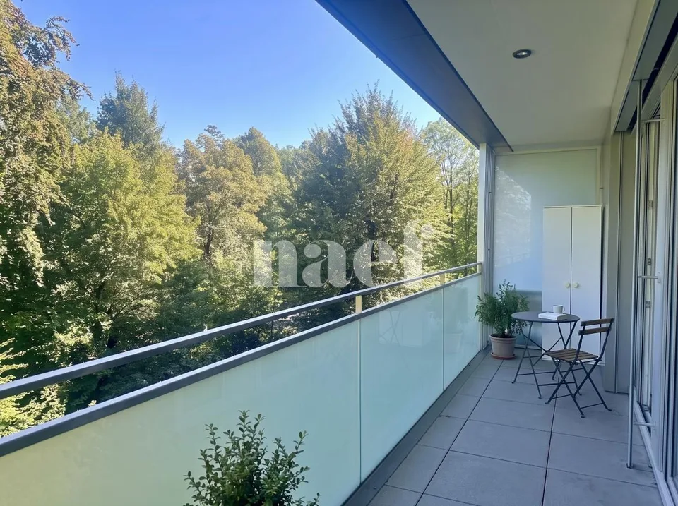 Appartement 4 pièces à louer à Carouge Lumineux et traversant avec terrasse, balcon et box – Foto 10 von 12