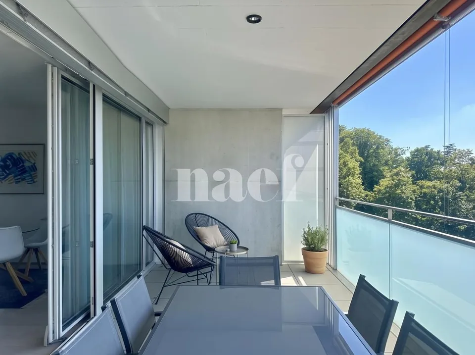 Appartement 4 pièces à louer à Carouge Lumineux et traversant avec terrasse, balcon et box – Foto 5 von 12