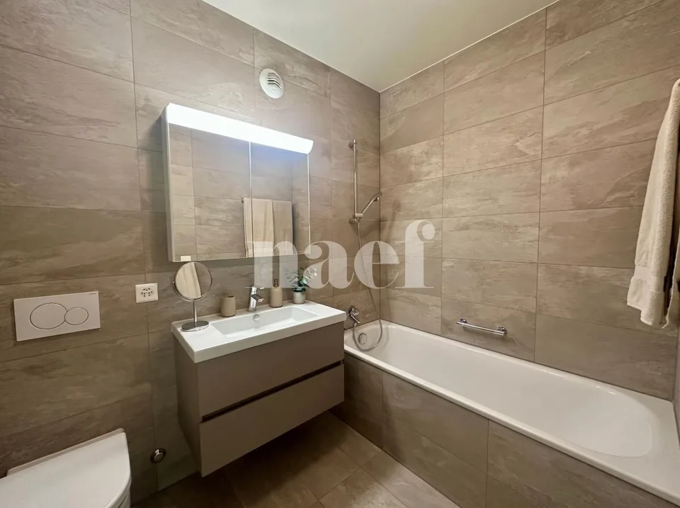 Appartement 4 pièces à louer à Carouge Lumineux et traversant avec terrasse, balcon et box – Foto 8 von 12