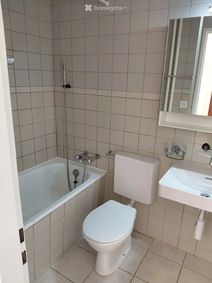 Appartement de construction ancienne abordable avec une belle vue sur la verdure – photo 7 sur 11