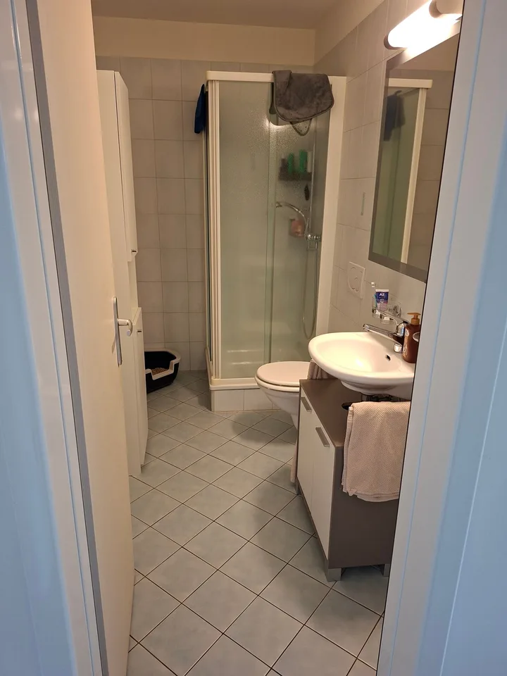 Vezia - Geräumige 4.5-Zimmer-Wohnung mit großer Terrasse zu vermieten – Foto 9 von 13