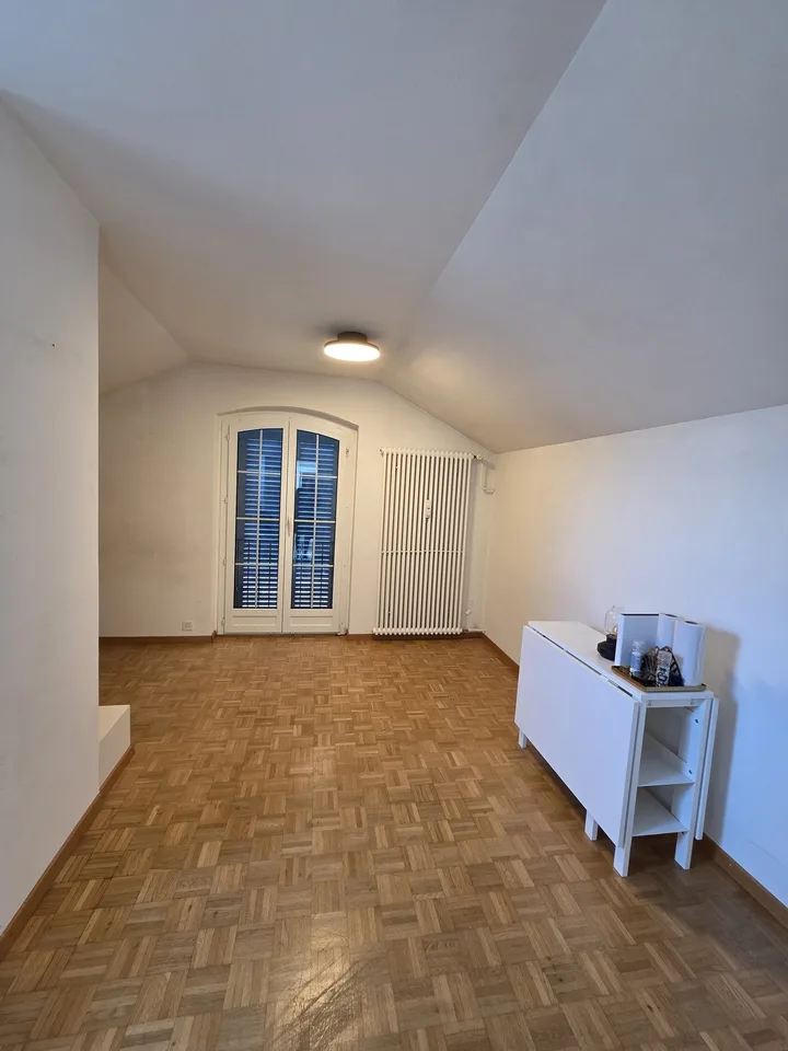 Helle 1-Zimmer-Wohnung an top Lage in Zollikon – Foto 2 von 5