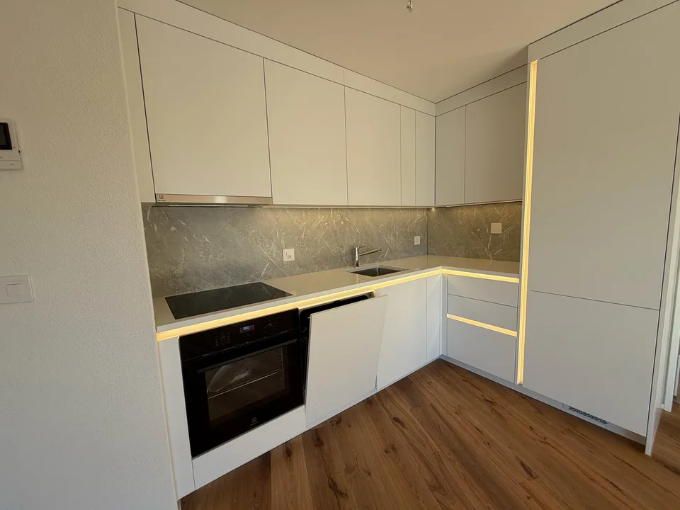 ERSTVERMIETUNG: Wunderschöne 4.5-Zimmer-Neubauwohnungen in Emmenbrücke – Foto 4 von 14