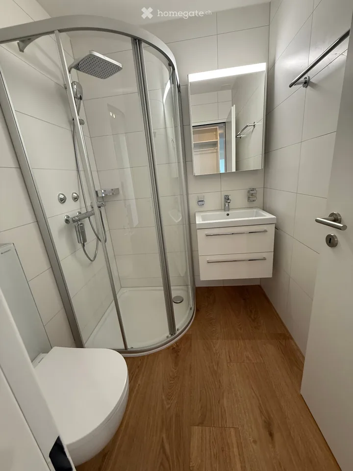 Frisch sanierte 4.5-Zimmer-Wohnung mit See- und Bergsicht in Hergiswil – Foto 15 von 15