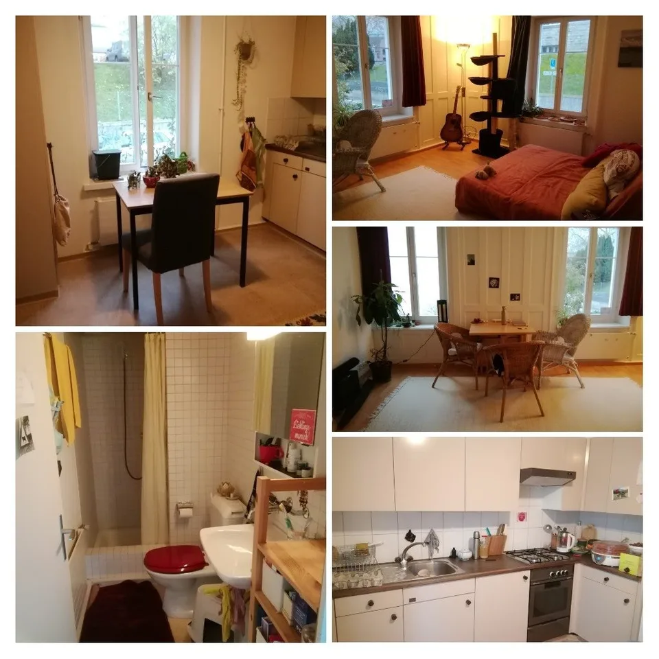 Room in shared flat in Wädenswil – Foto 5 von 7