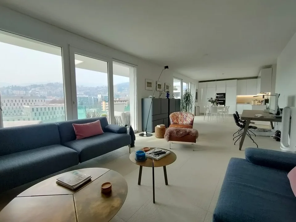 BRIGHT ATTIC WITH LARGE TERRACE AND ROOFTOP IN LUGANO-VIGANELLO – photo 2 of 13