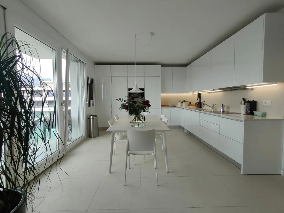 BRIGHT ATTIC WITH LARGE TERRACE AND ROOFTOP IN LUGANO-VIGANELLO – photo 3 of 13
