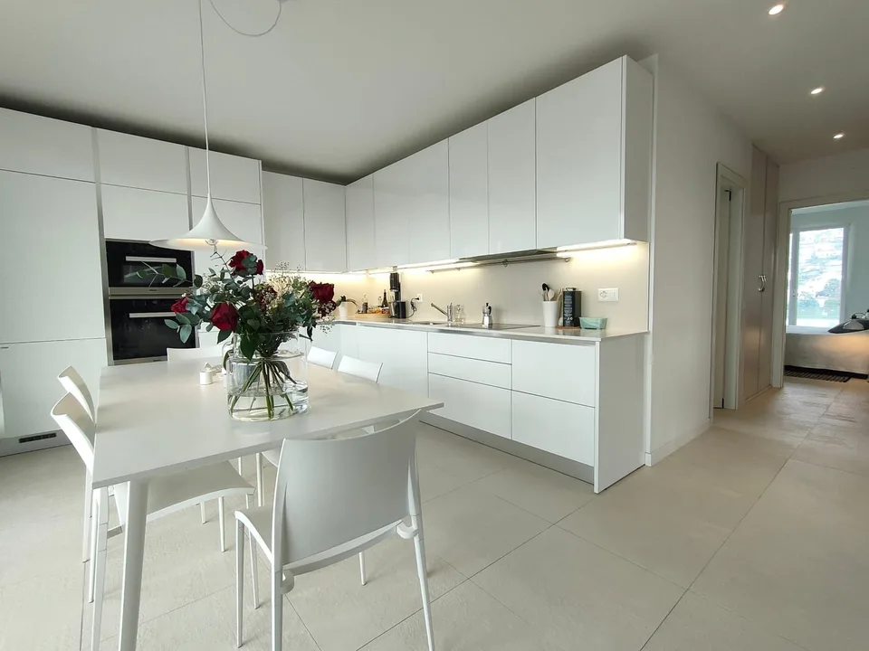 BRIGHT ATTIC WITH LARGE TERRACE AND ROOFTOP IN LUGANO-VIGANELLO – photo 5 of 13