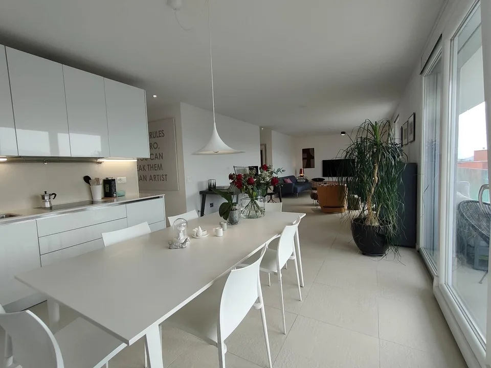 BRIGHT ATTIC WITH LARGE TERRACE AND ROOFTOP IN LUGANO-VIGANELLO – photo 4 of 13