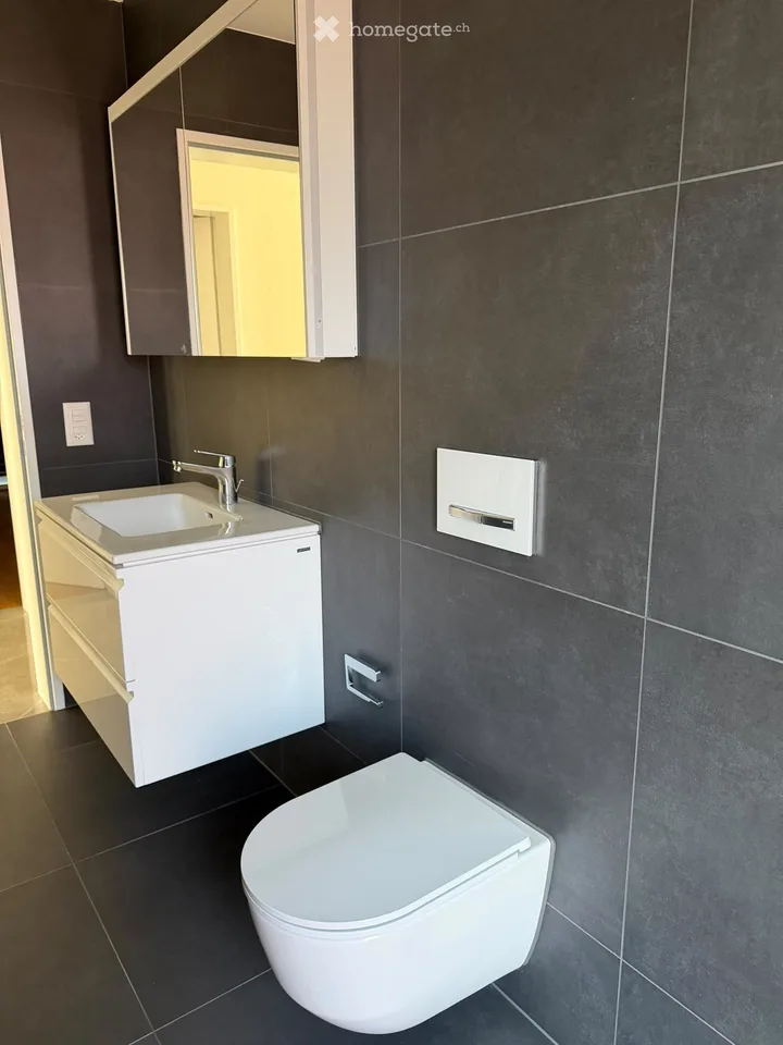 Neubauwohnung in Allschwil inkl. Parkplatz und eigenem Waschturm – Foto 6 von 14