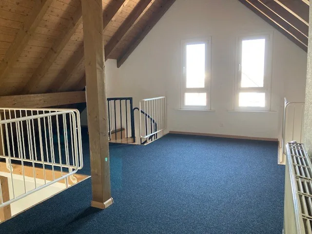 Einzigartige 2.5-Zimmer-Dachwohnung in Münchenstein – Foto 2 von 11