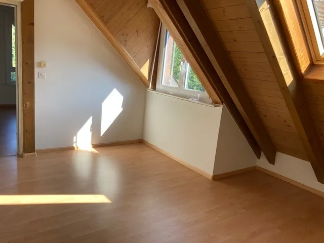 Einzigartige 2.5-Zimmer-Dachwohnung in Münchenstein – Foto 4 von 11