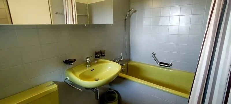 4½ ZIMMER-HAUS IN WÄDENSWIL (ZH), MÖBLIERT, TEMPORÄR – Foto 6 von 9