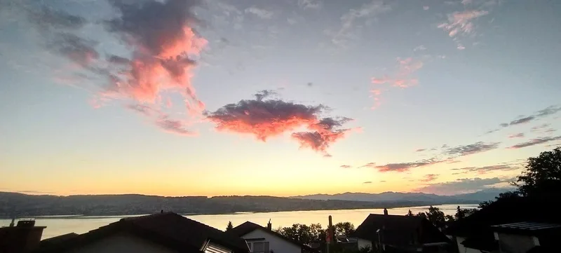 4½ ZIMMER-HAUS IN WÄDENSWIL (ZH), MÖBLIERT, TEMPORÄR – Foto 8 von 9