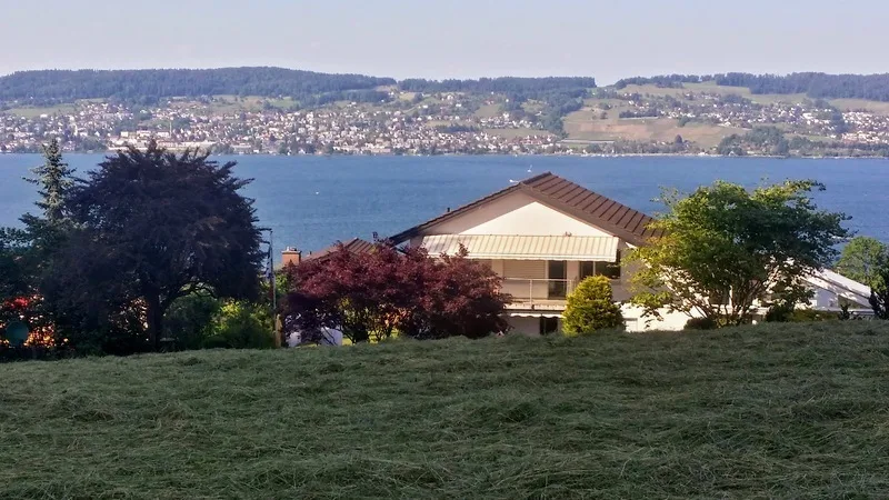 4½ ZIMMER-HAUS IN WÄDENSWIL (ZH), MÖBLIERT, TEMPORÄR – Foto 9 von 9