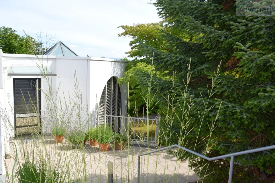 Ruhige Gartenwohnung im bevorzugten Binningen – Foto 4 von 6