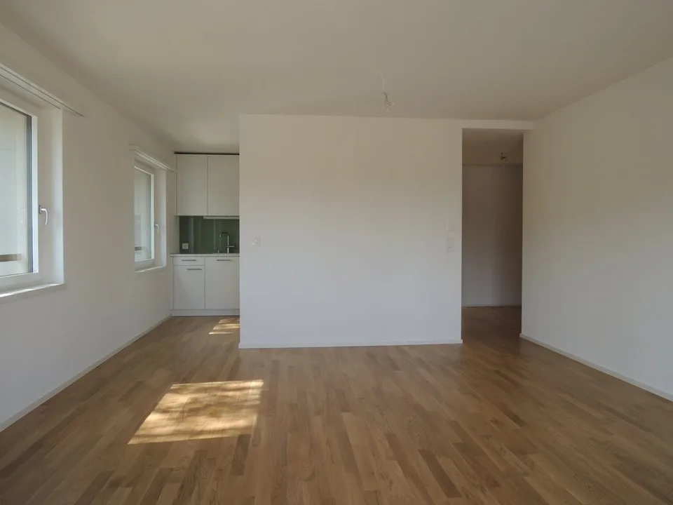 Appartamento moderno a Thalwil (vivere senza auto) – foto 3 di 6