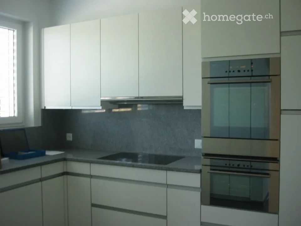 Moderne Dachwohnung mit See- und Fernsicht – Foto 9 von 11
