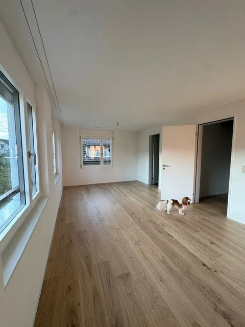 Modernes Reihenfamilienhaus in Thalwil-Oberdorf (Katzenbrunnen) – foto 11 di 19