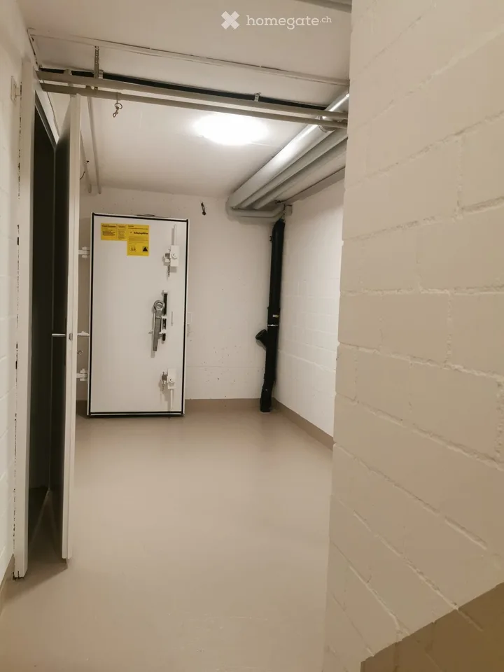 Maison mitoyenne à Dietlikon – photo 10 sur 11