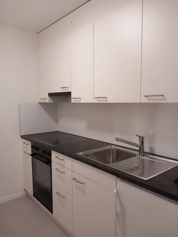 Renovierte Wohnung in Luzern zu vermieten – Foto 2 von 7
