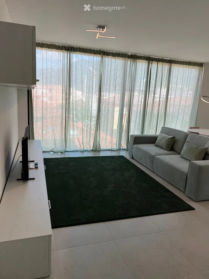 Wohnung mit Möbeln in Paradiso – Foto 2 von 9