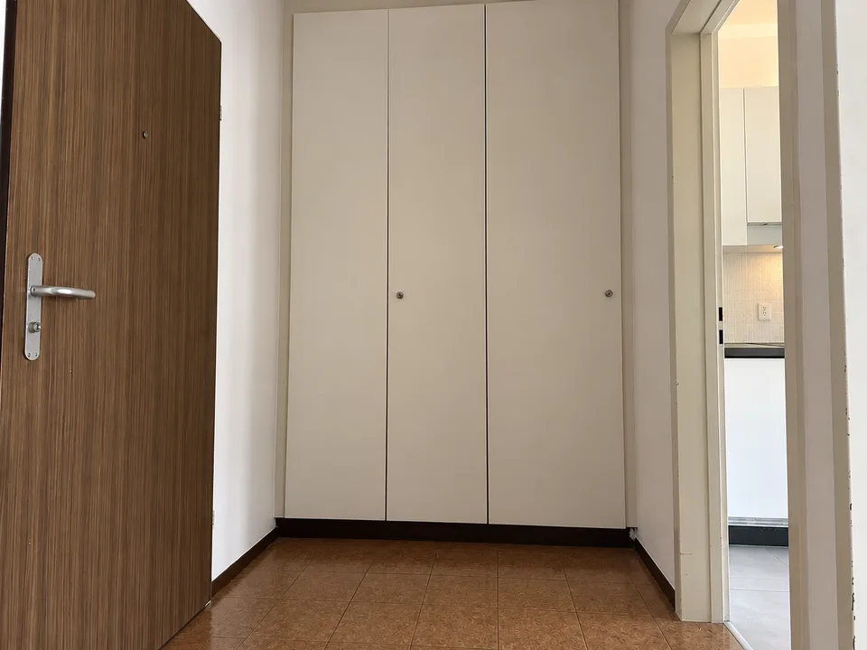 Helles Einzimmerapartment mit Terrasse in Bellinzona – Foto 6 von 10