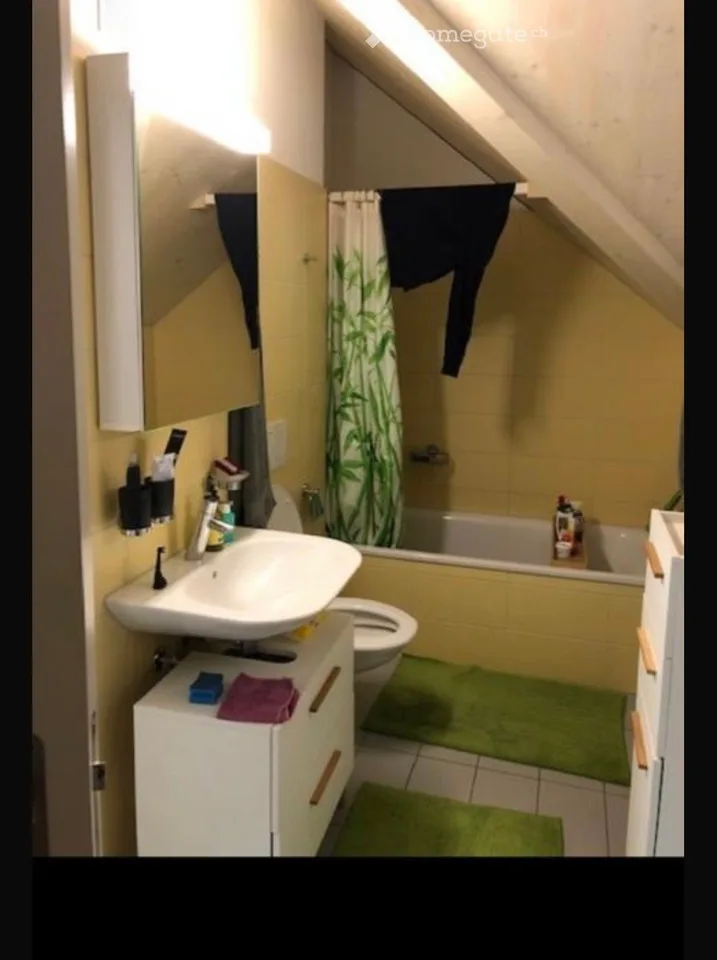 Dachwohnung in Winterthur – Foto 5 von 5