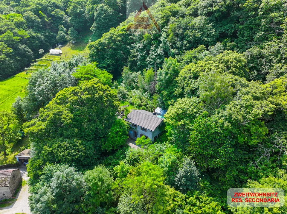 Haus mitten im Grünen / Casa immersa nel verde