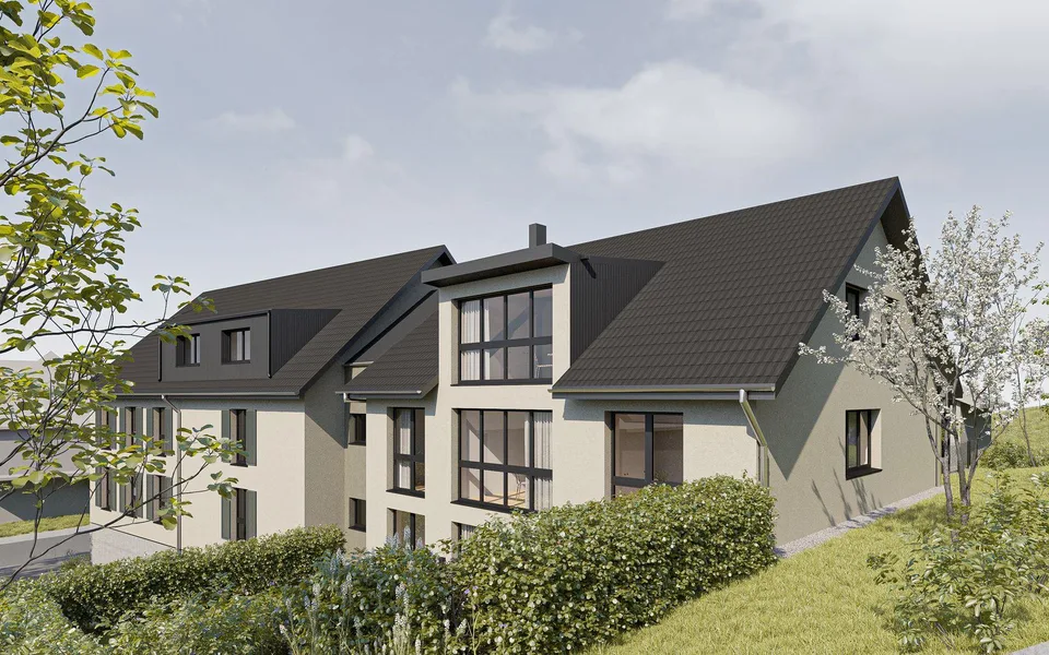 Progetto di costruzione nuova "Lilly e Heiri"
