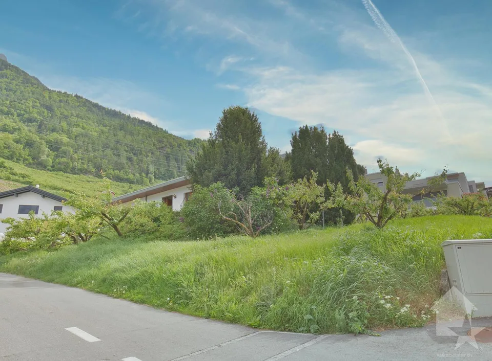 Villa traditionnelle avec grand sous-sol implantée sur une grande parcelle de 1'075 m2
