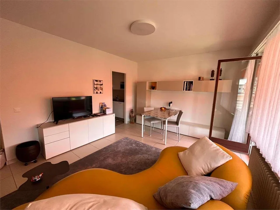 Fully furnished apartment in Losone