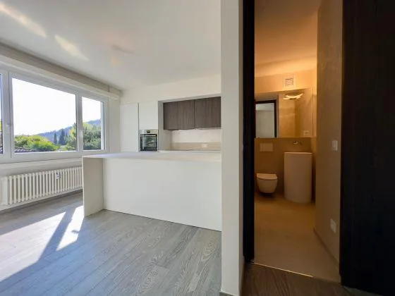 APPARTAMENTO 4.5 LOCALI RISTRUTTURATO - PISCINA CONDOMINIALE