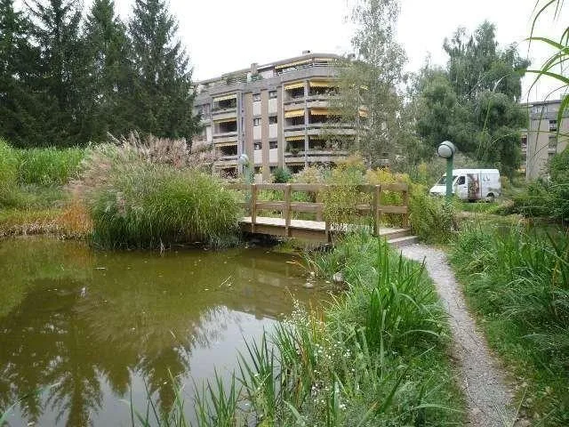 Wohnen im Lindendorfquartier
