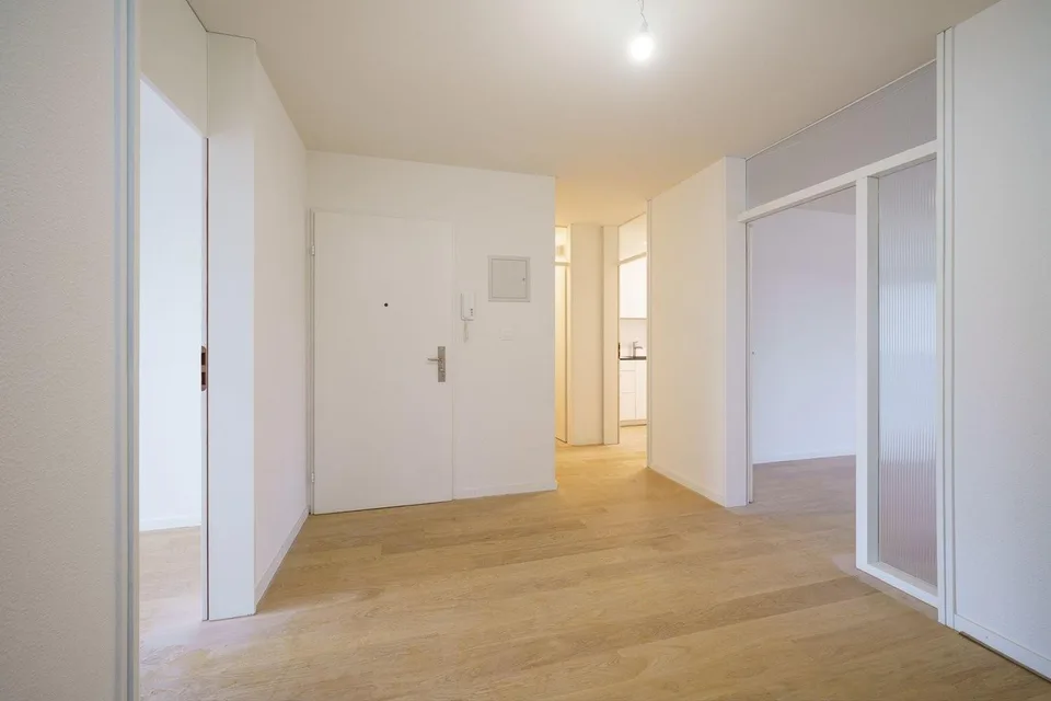 Appartement spacieux rénové de 5,5 pièces avec cheminée et balcon