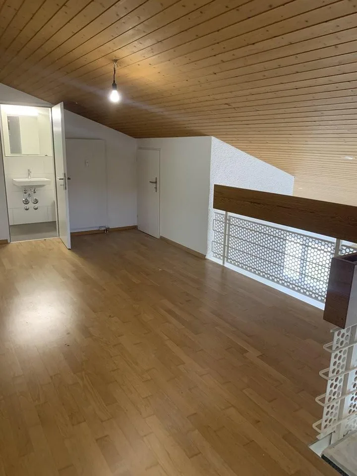 1 mois de loyer net gratuit - Appartement maisonnette dans un quartier calme – photo 6 sur 12