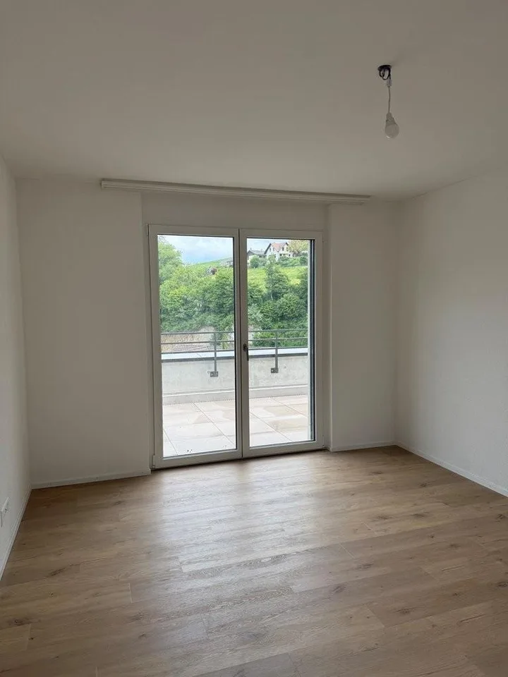 ERSTVERMIETUNG - exklusive Attikawohnung mit 3 Terrassen