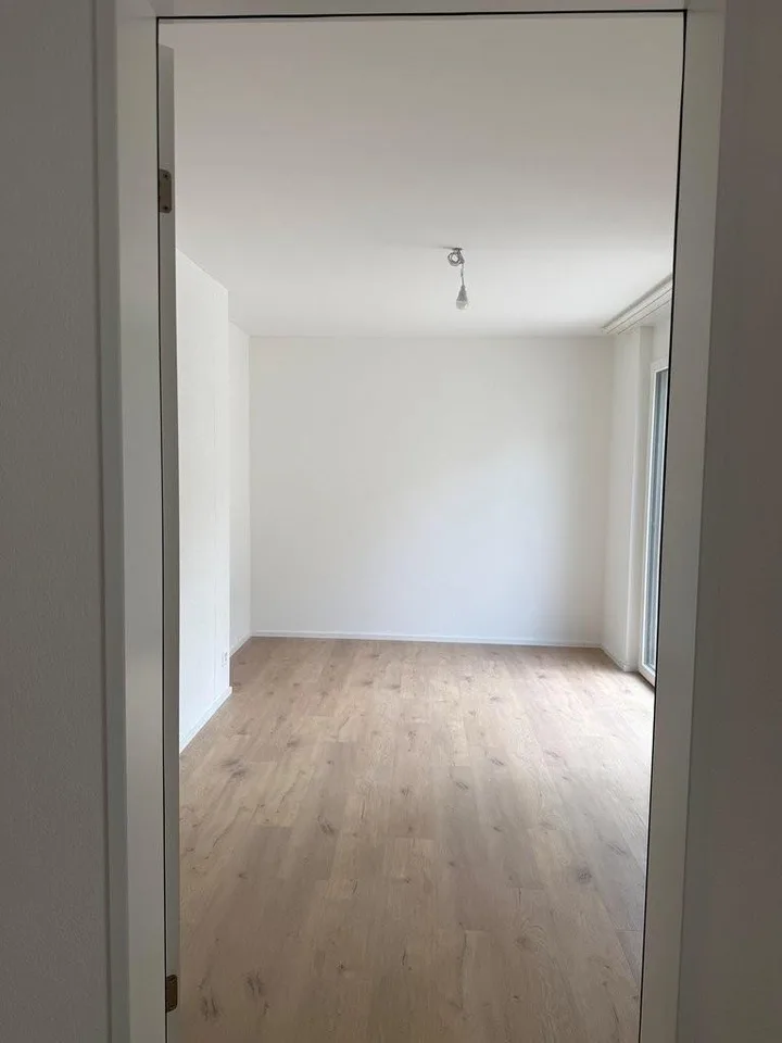 ERSTVERMIETUNG - exklusive Attikawohnung mit 3 Terrassen