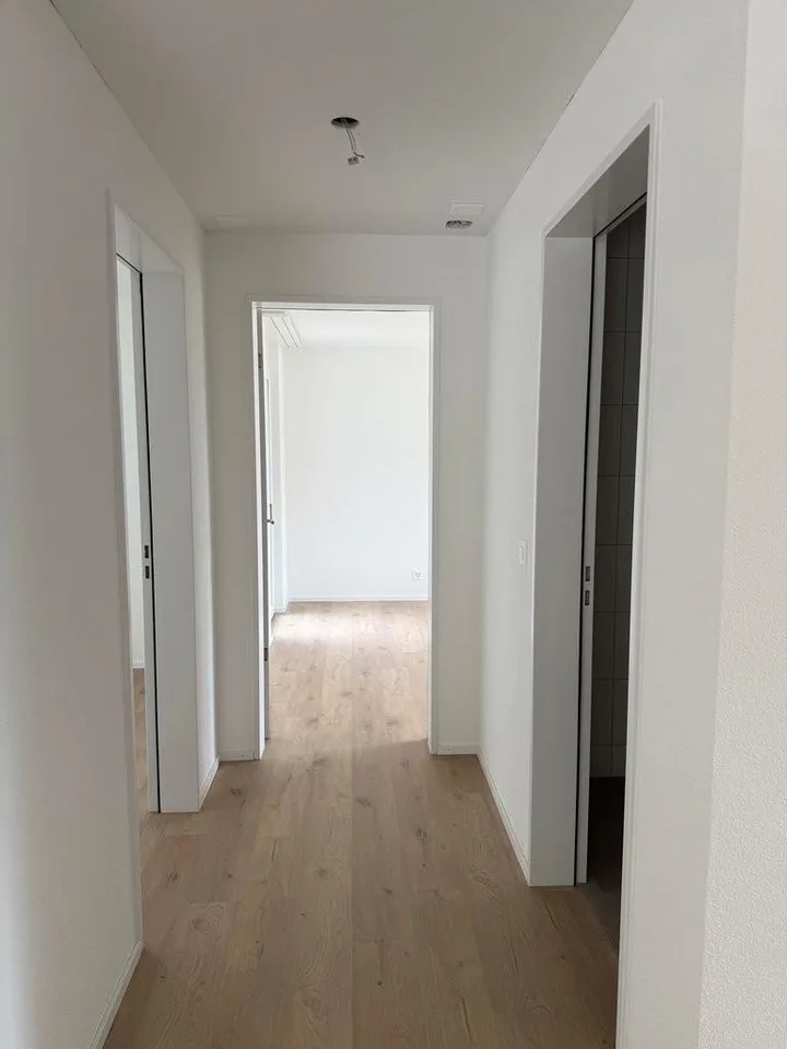 ERSTVERMIETUNG - exklusive Attikawohnung mit 3 Terrassen