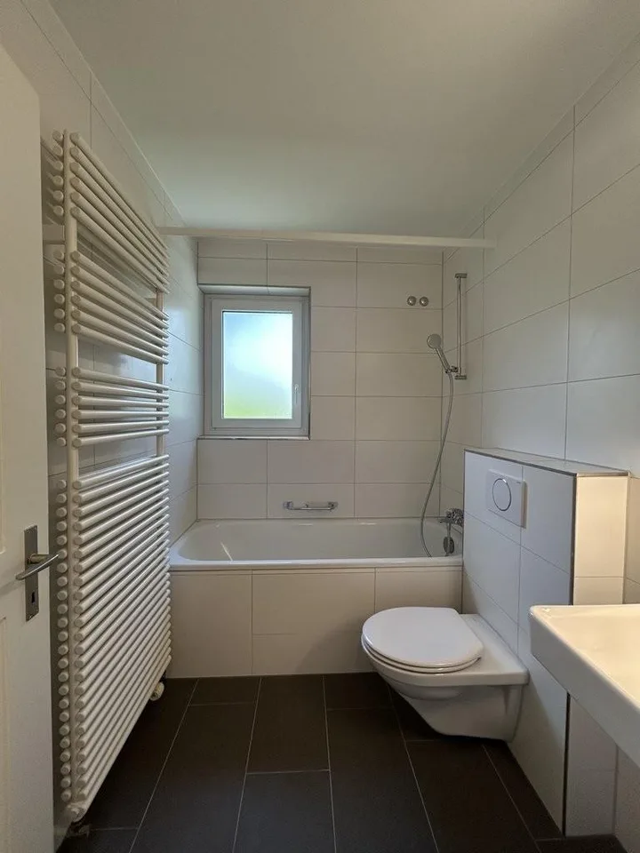 Renovated apartment on Zürichberg