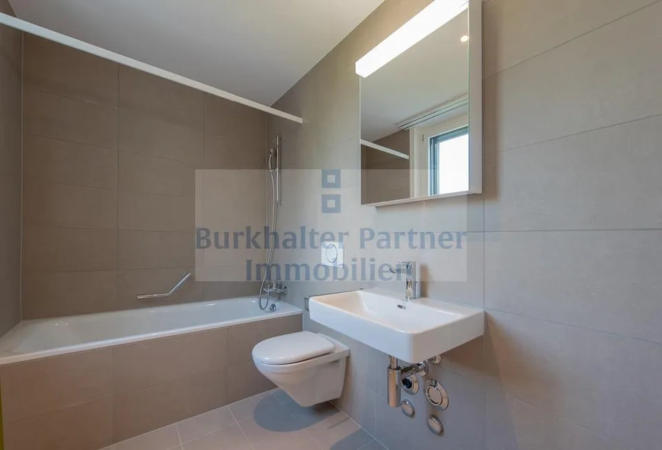 Attic apartment in Lyss wanted?