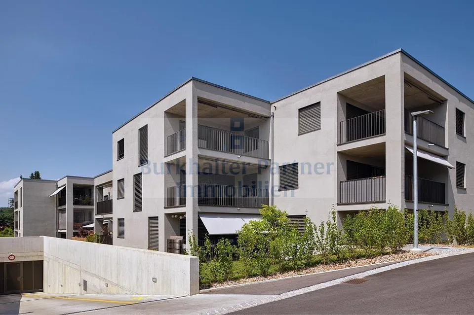 Attic apartment in Lyss wanted?