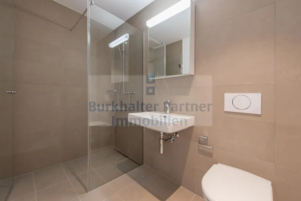 Cercasi appartamento in attico a Lyss? – foto 6 di 9