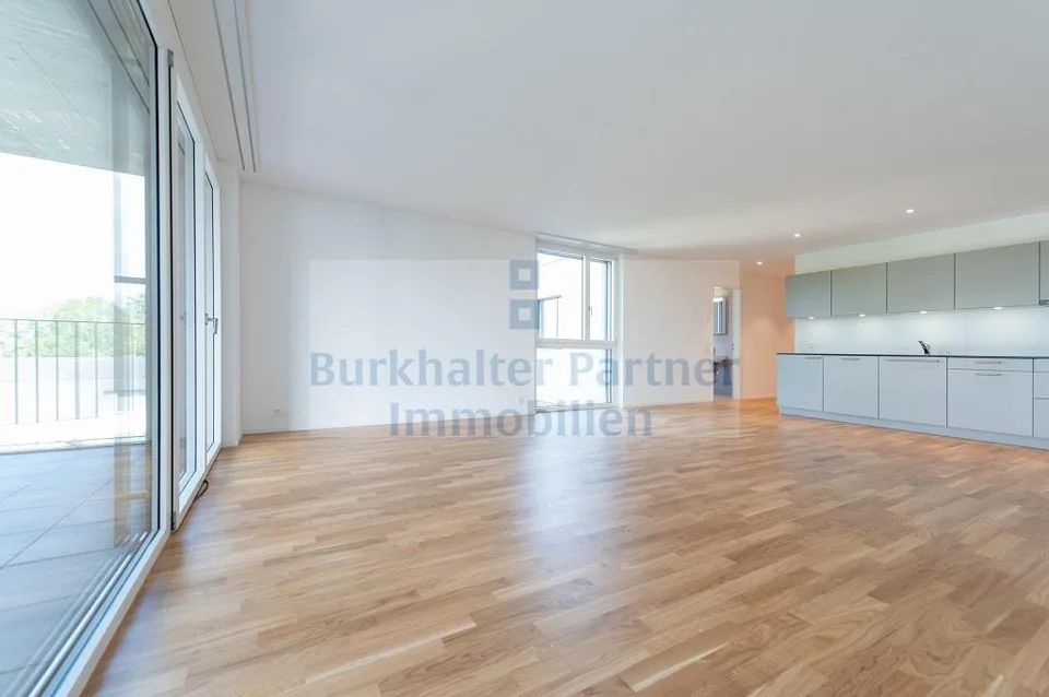 Attic apartment in Lyss wanted?